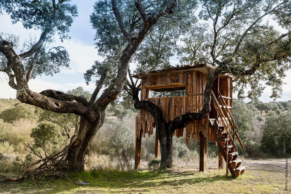 Eco-Lodge En La Reserva Privada Campanarios De Azaba - Proyecto De Conservacion Espeja Exterior foto
