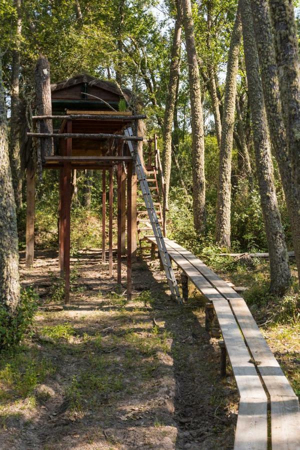 Eco-Lodge En La Reserva Privada Campanarios De Azaba - Proyecto De Conservacion Espeja Exterior foto