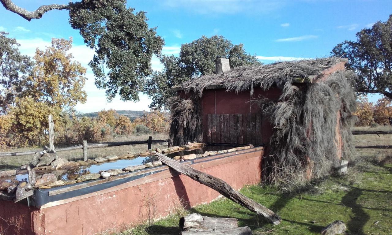 Eco-Lodge En La Reserva Privada Campanarios De Azaba - Proyecto De Conservacion Espeja Exterior foto